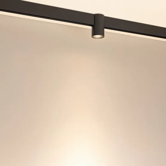 Фото #2 товара Светильник MAG-ORIENT-AXIO-R60-15W Warm3000 (BK, 24 deg, 48V) (Arlight, IP20 Металл, 5 лет)