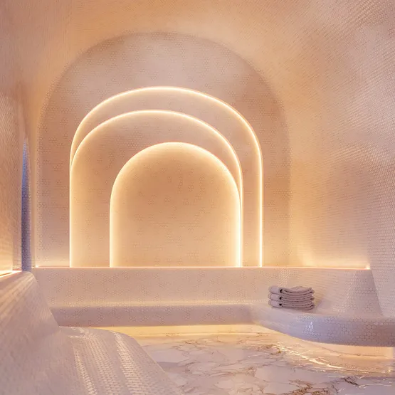 Фото #4 товара Светодиодная лента герметичная COB-PSW-X480-8mm 24V Warm3000 (6 W/m, IP67, TWP100, 5m) (Arlight, CRI>90)