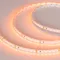 Минифото #2 товара Светодиодная лента RT 2-5000 24V Orange 2x (3528, 600 LED, LUX) (Arlight, 9.6 Вт/м, IP20)